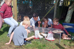 WhatsApp-Image-2023-06-20-at-12.54.05