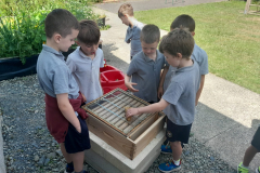 WhatsApp-Image-2023-06-21-at-12.58.11