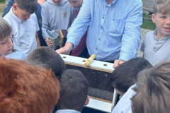 WhatsApp-Image-2023-06-21-at-14.33.52