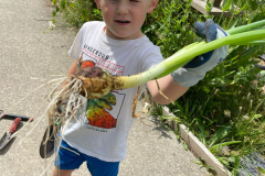 WhatsApp-Image-2023-06-22-at-18.58.31