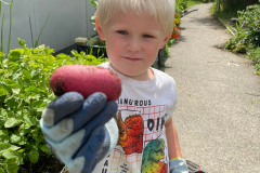 WhatsApp-Image-2023-06-22-at-18.58.33