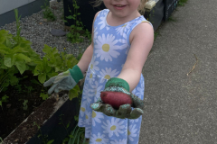 WhatsApp-Image-2023-06-22-at-18.58.34