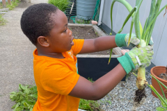 WhatsApp-Image-2023-06-22-at-18.58.40