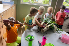 WhatsApp-Image-2023-06-22-at-18.58.43