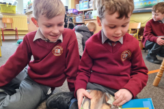 WhatsApp-Image-2022-03-03-at-17.36.19