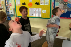 WhatsApp-Image-2022-10-28-at-15.58.25